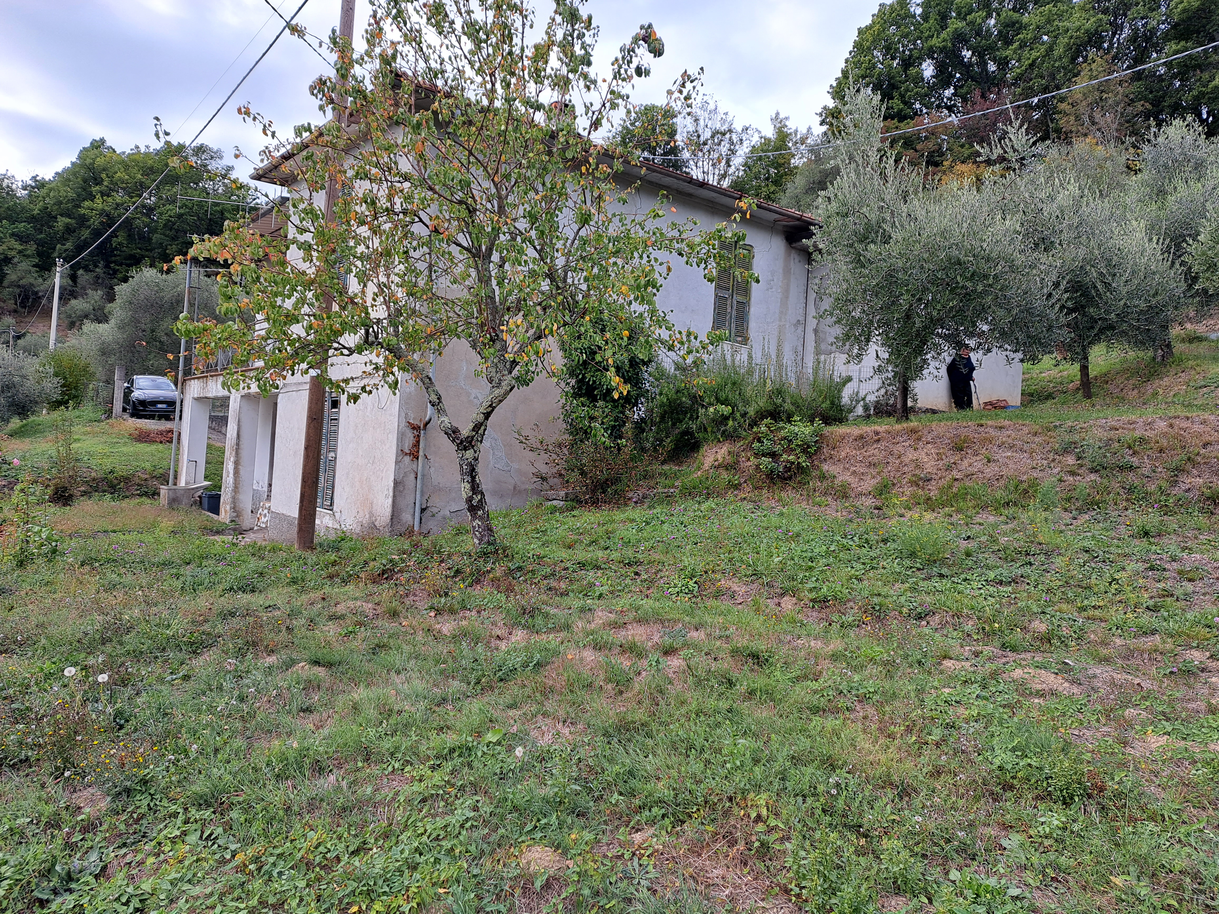 casa indipendente con terreno